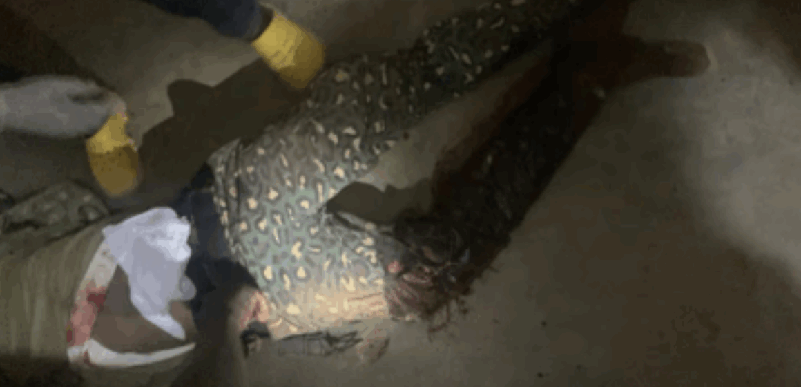 Immigration officer killed in Tempane attack