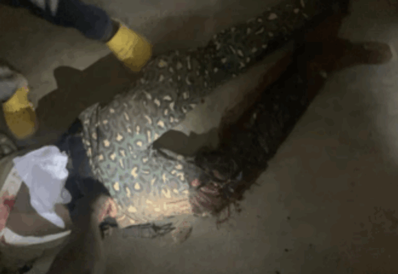 Immigration officer killed in Tempane attack